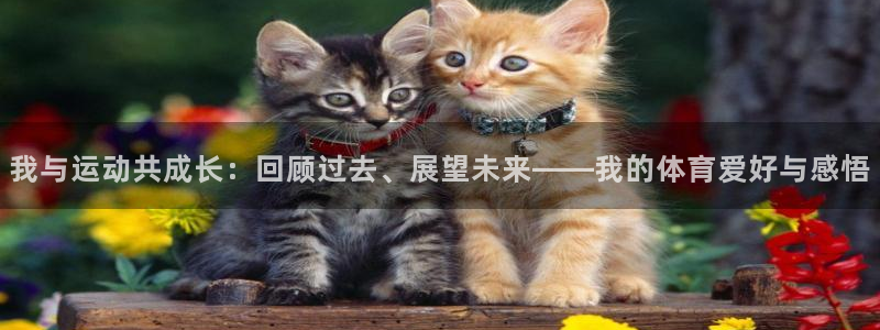球王会体育：我与运动共成长：回顾过去、展望未来——我的体育爱好与感悟