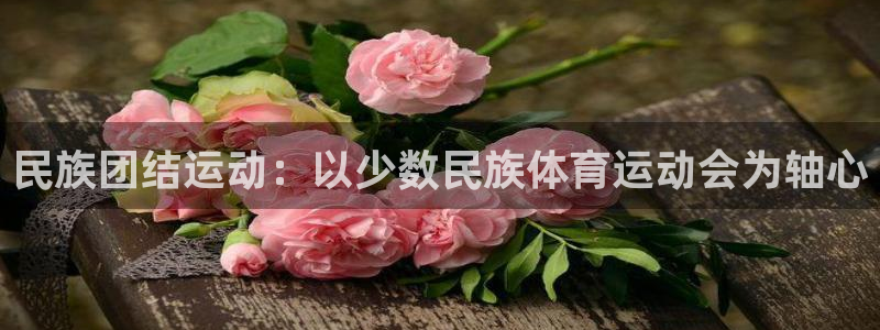 球王会体育：民族团结运动：以少数民族体育运动会为轴心
