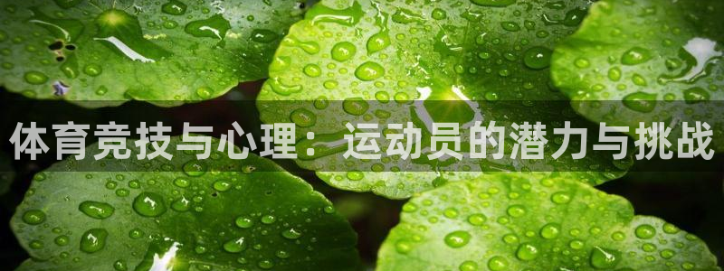 球王会体育：体育竞技与心理：运动员的潜力与挑战