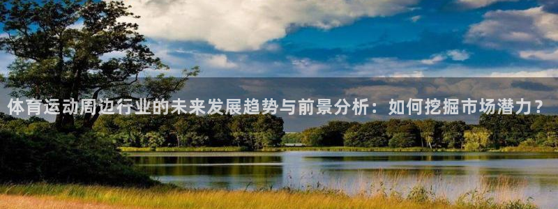 球王会体育：体育运动周边行业的未来发展趋势与前景分析：如何挖掘市场潜力？