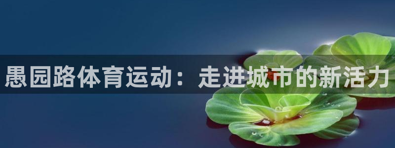 球王会体育：愚园路体育运动：走进城市的新活力