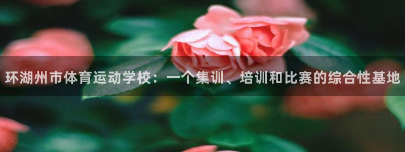 球王会体育：环湖州市体育运动学校：一个集训、培训和比赛的综合性基地