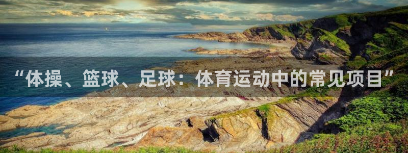球王会体育：“体操、篮球、足球：体育运动中的常见项目”